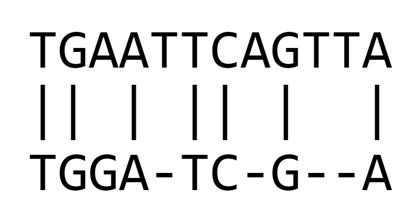 Global-sequence-alignment-in-JS