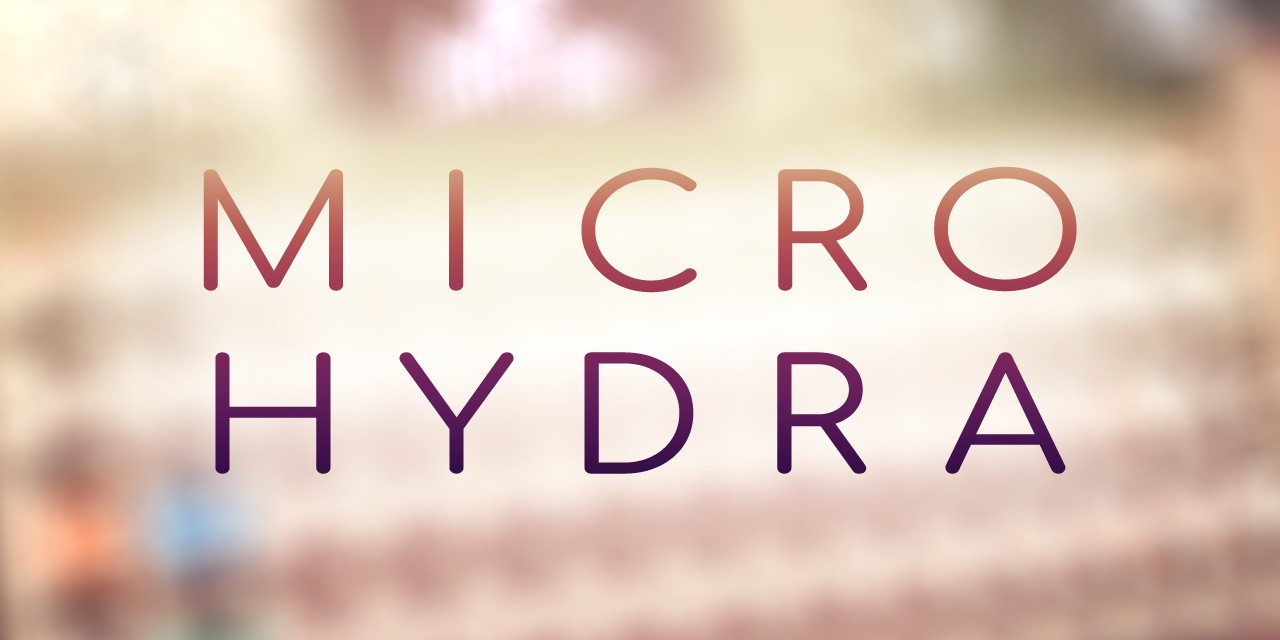 MicroHydra