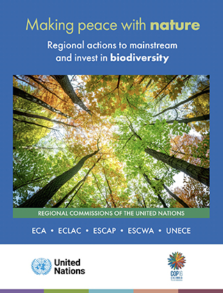 Making peace with nature: Regional actions to mainstream and invest in biodiversity