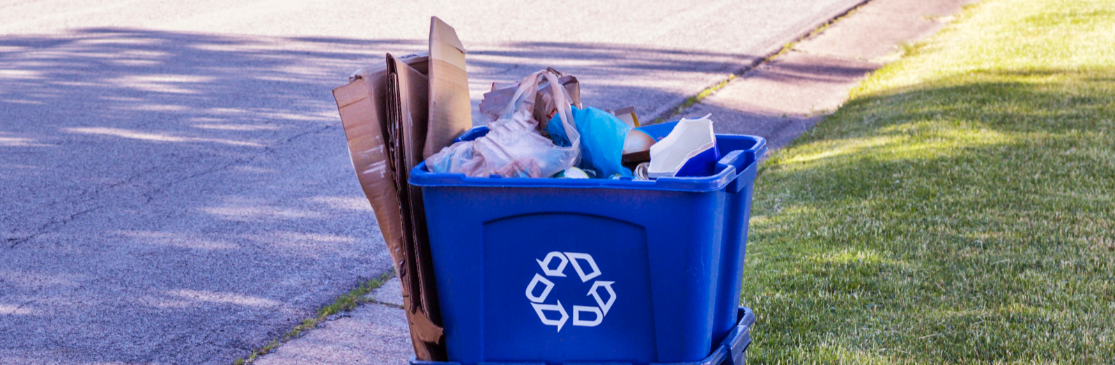 blue bin filled with recycling sitting at curb