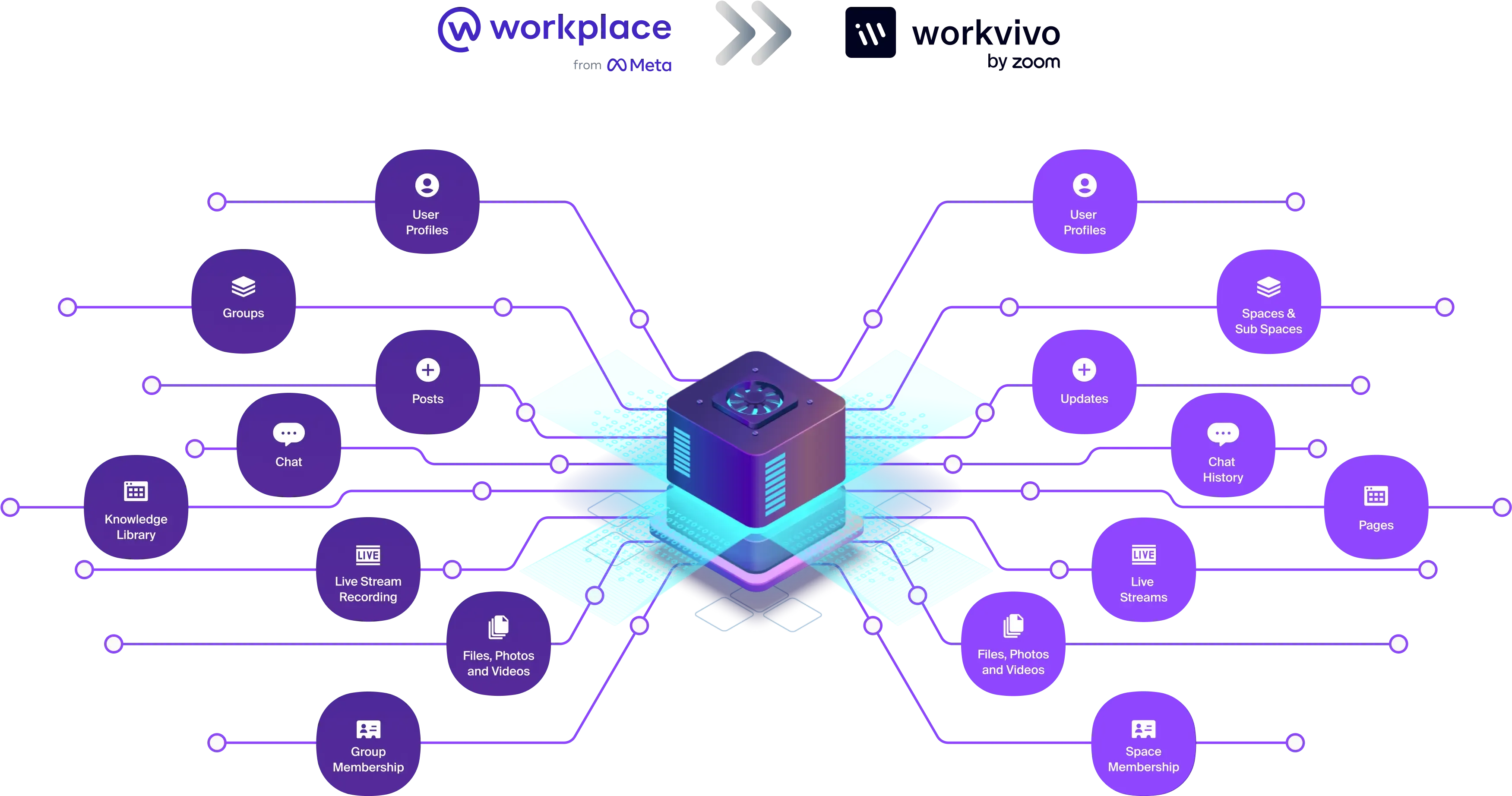 migration_infographic_v4.webp