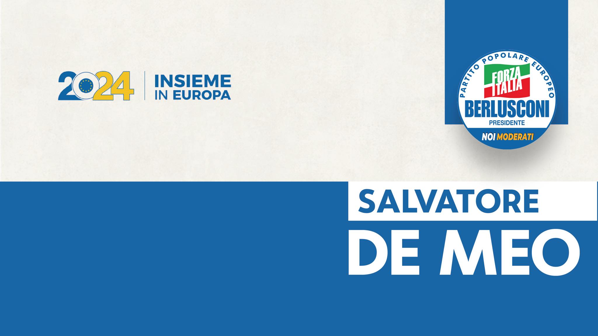 Copertina per Salvatore De Meo