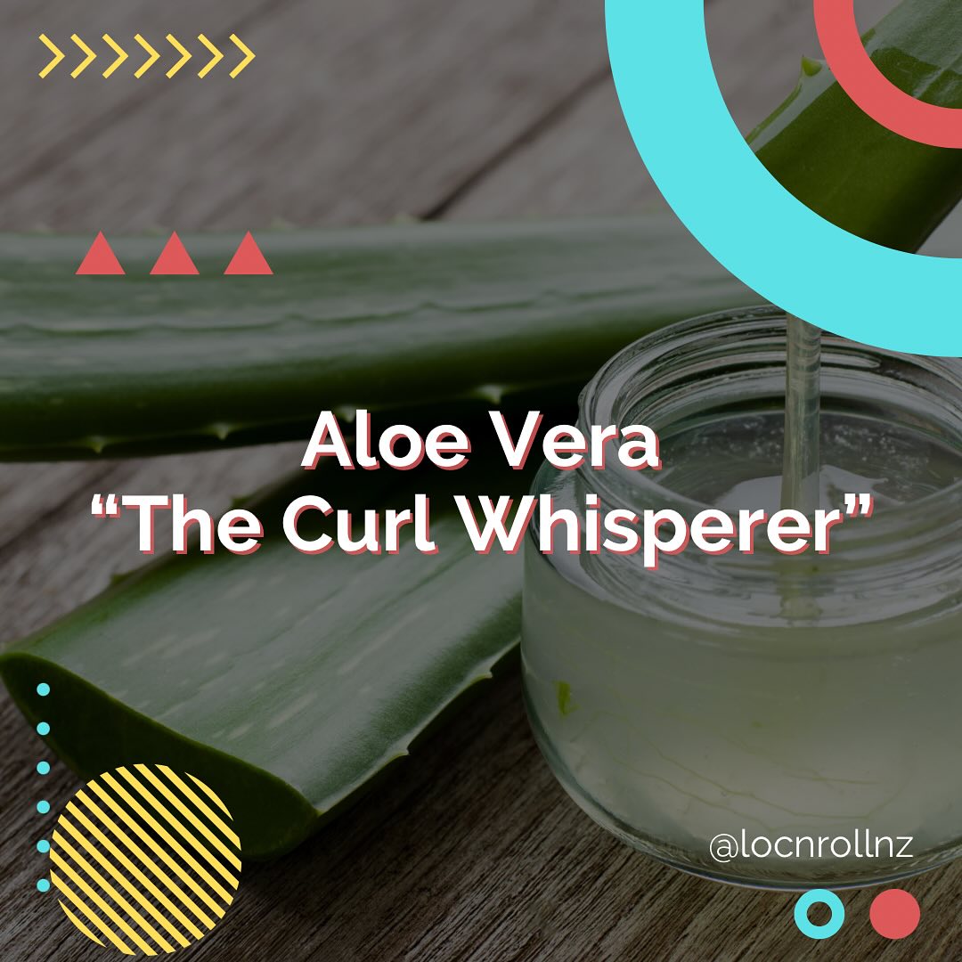 Curly hair deserves the best, and Aloe Vera is here to deliver! 🌱💧 Packed with natural goodness, Aloe Vera nourishes, hydrates, and defines those beautiful curls.

Here’s why your curls will love it:

1️⃣ Deep Hydration: Aloe Vera is a natural humectant, helping your curls lock in moisture without weighing them down.

2️⃣ Frizz Control: Tame unruly curls and reduce frizz with the soothing properties of Aloe Vera.

3️⃣ Scalp Health: Aloe Vera promotes a healthy scalp, reducing irritation and dandruff, leaving your curls shiny and strong.

4️⃣ Curl Definition: Enhance your natural curl pattern with the lightweight yet powerful hold Aloe Vera provides.

Ready for those soft, bouncy curls? Embrace Aloe Vera in your curly hair routine! 💚✨

#CurlyHairCare #AloeVeraMagic #NaturalCurls #HealthyHair #CurlyHairCommunity