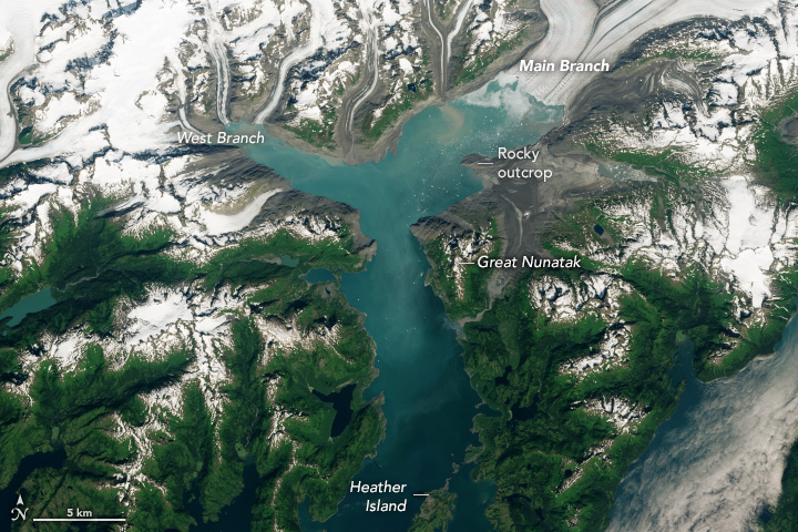 The image centers the waters of a fjord and surrounding mountains. Glaciers meet the waters at the top left, the west branch and top right, the Main Branch. The waters converge and make their way toward open ocean out of from at the bottom center. At the bottom center is Heather Island. Mountains at the bottom of the image are green with foliage, but peaked with snow coverage. Further up the image the land is nearly entirely snow covered. On the right edge of where the meltwater branches converge Great Nunatak is labeled. A rocky outcrop is labelled between Great Nunatak and the leading edge of the Main Branch.