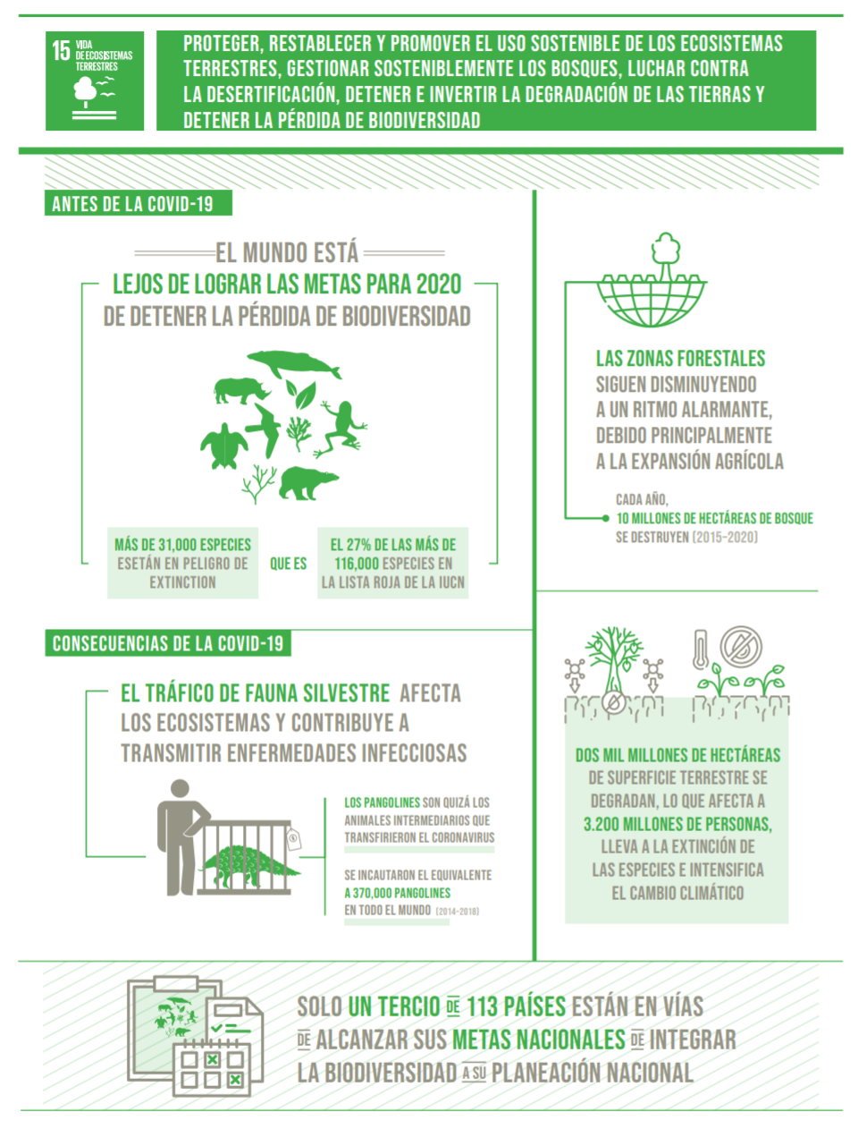 Infografía del objetivo 15