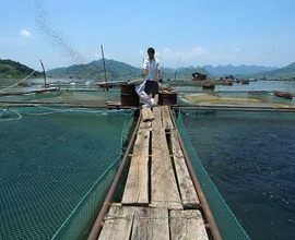 水库渔业评估报告 水产养殖评估报告