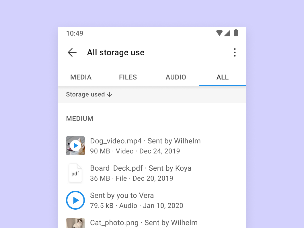 A detailed view of the storage usage interface that shows a list of individual files sorted by size in descending order.