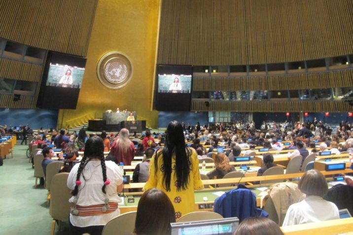 unpfii 20th session