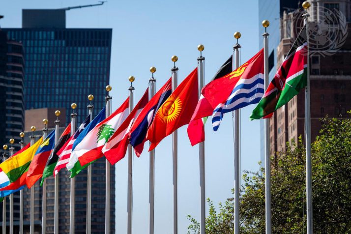 UN Flags