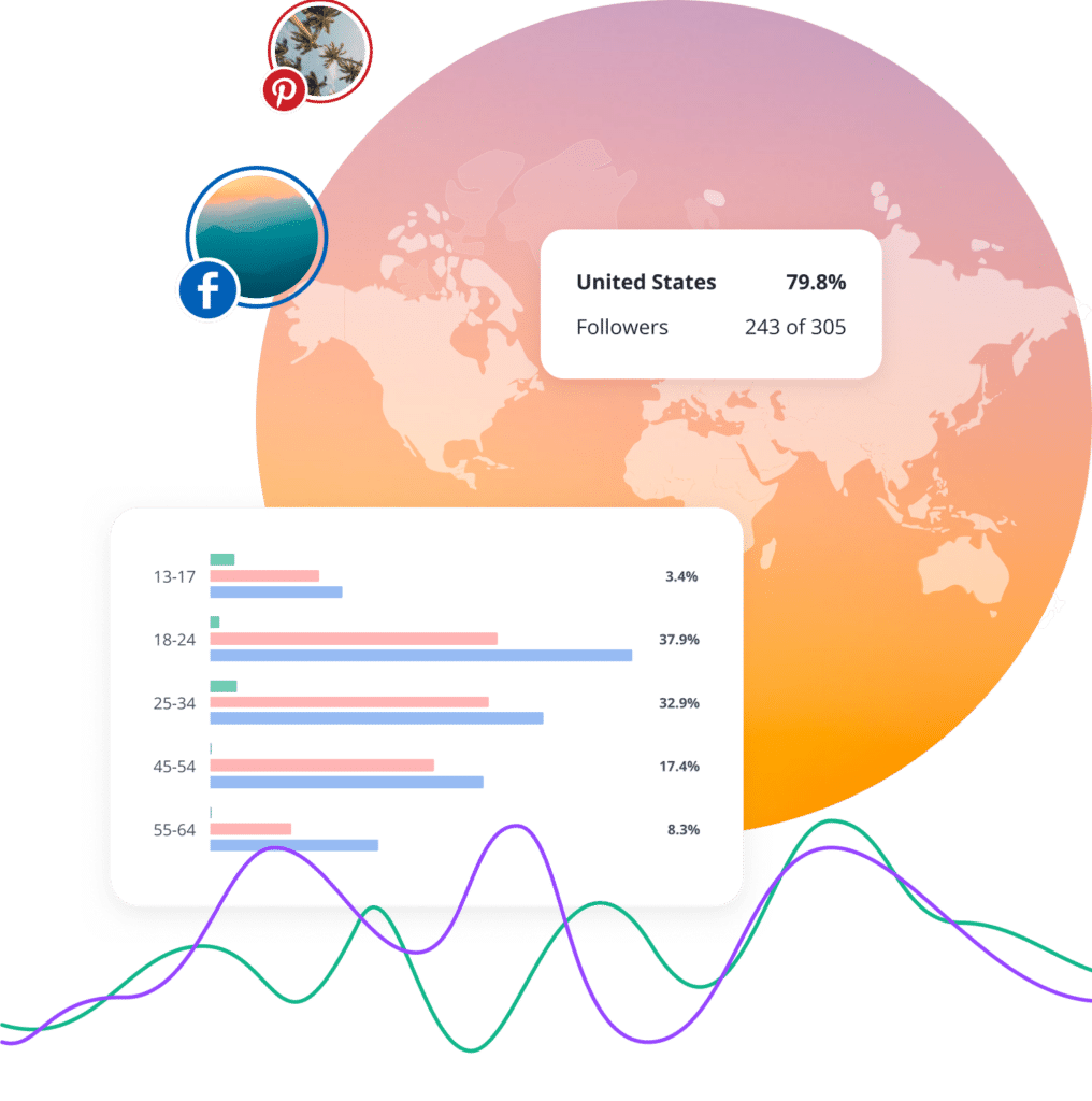 SocialBee audience demographics analytics