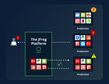 Mitigating Image Integrity Violations: A Real-World Example in Runtime Environments