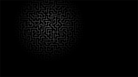 The hardest maze