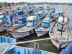 ​Goa's annual fishing ban begins for 60 days