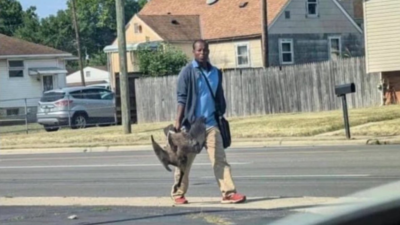 Haitian immigrants eating pet cats and ducks of residents in Ohio? Here's what happened