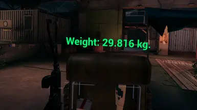 Stamina and Carry Weight Tweaks