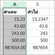 ตัวอย่างการแสดงผลของตัวเลขในรูปแบบที่ต่างกัน เช่น รูปแบบตัวเลข และรูปแบบทั่วไป