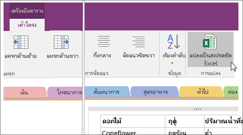 สกรีนช็อตของปุ่ม แปลงเป็นสเปรดชีต Excel ใน OneNote 2016