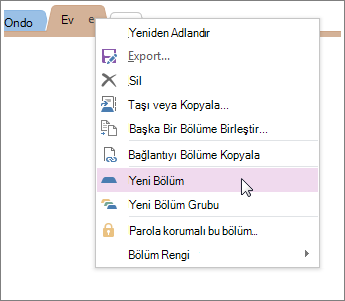 OneNote'a yeni bölüm ekleyin.