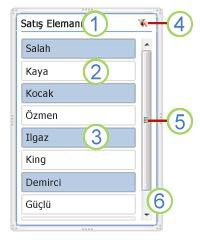 PivotTable dilimleyici öğeleri