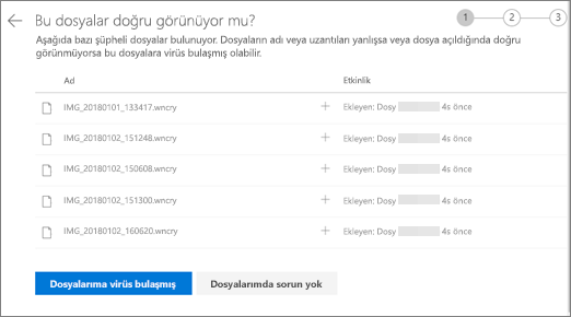 OneDrive web sitesindeki Bu dosyalar sağa mı görünüyor? ekranının ekran görüntüsü