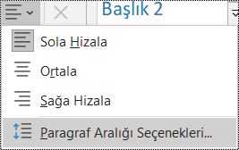 Giriş menüsünde Paragraf Aralığı seçeneğinin ekran görüntüsü.