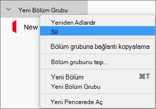 Mac için OneNote'ta bölüm grubunu silme