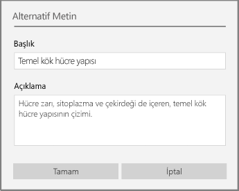 Windows 10 için OneNote’ta alternatif metin eklemeye yönelik alternatif metin iletişim kutusu.