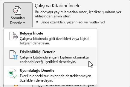 Sorunları denetle ve erişilebilirliği denetle menü öğesi