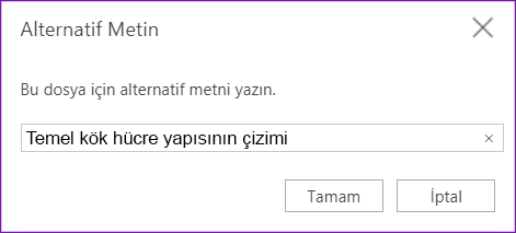 Web için OneNote için alternatif metin iletişim kutusu