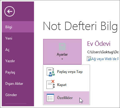 Doğrudan Dosya menüsünden OneNote’un son sürümüne yükseltebilirsiniz.