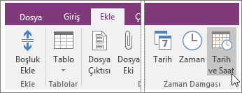 OneNote 2016’daki Tarih ve Saat düğmesinin ekran görüntüsü.