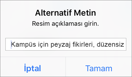 iOS için Outlook’ta resim için alternatif metin menüsü