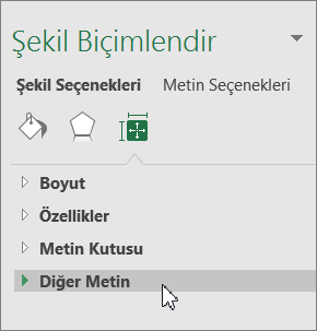 Nesne bölmesinde Alternatif Metin'e tıklayın.