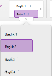 Mac için OneNote’ta başlık stili menüsü.