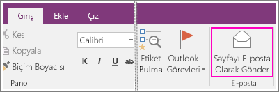 OneNote 2016’da E-posta Sayfası düğmesinin ekran görüntüsü.