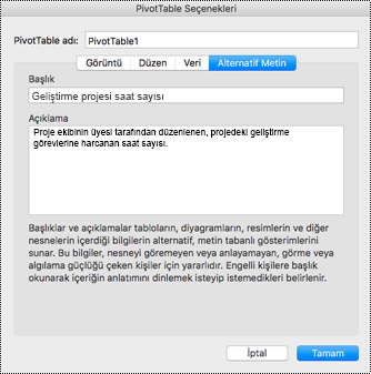 Excel PivotTable için Alternatif Metin iletişim kutusu.