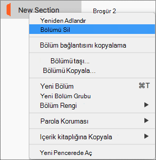 Mac’te Bölümü Sil’in vurgulandığı Bölüm bağlam menüsü.