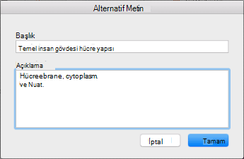 Mac'te OneNote için alternatif metin iletişim kutusu.