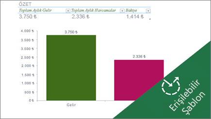 Excel'de aylık harcamaları gösteren çubuk grafik