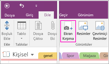 OneNote 2016’daki Ekran Kırpması Ekle düğmesinin ekran görüntüsü.