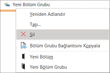 Windows için OneNote'ta bölüm grubunu silme iletişim kutusu