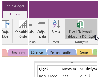 OneNote 2016’daki Excel Elektronik Tablosuna Dönüştür düğmesinin ekran görüntüsü.