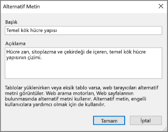 OneNote’ta, Başlık ve Açıklama alanlarında örnek metinlerin bulunduğu alternatif metin iletişim kutusunun ekran görüntüsü.