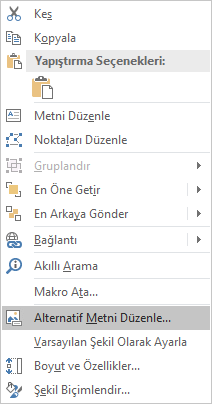 Şekiller için Excel Win32 Alternatif Metni Düzenle menüsü