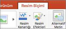 Mac için PowerPoint’te şeritteki Alternatif Metin düğmesi