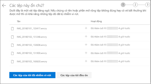 Ảnh chụp màn hình của màn hình Thực hiện những tệp này có hiển thị đúng trên website OneDrive