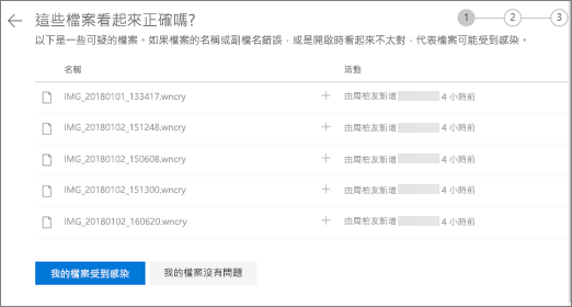 OneDrive 網站上 [執行這些檔案] 看起來正確的螢幕螢幕快照