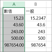 示範如何以不同的格式顯示數值，例如 [數值] 與 [通用] 格式。