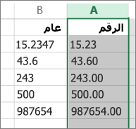 نموذج لعرض كيفية ظهور الأرقام عند تطبيق تنسيقات مختلفة مثل التنسيقين "رقم" و"عام".