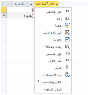 لقطة شاشة من القائمة المنسدلة "انقر لإضافة نوع البيانات"